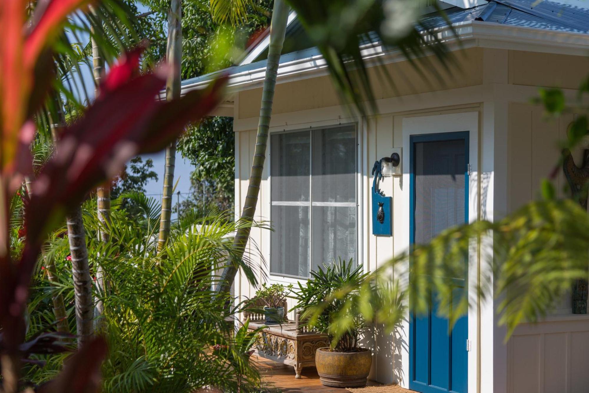 Holualoa Inn Rom bilde