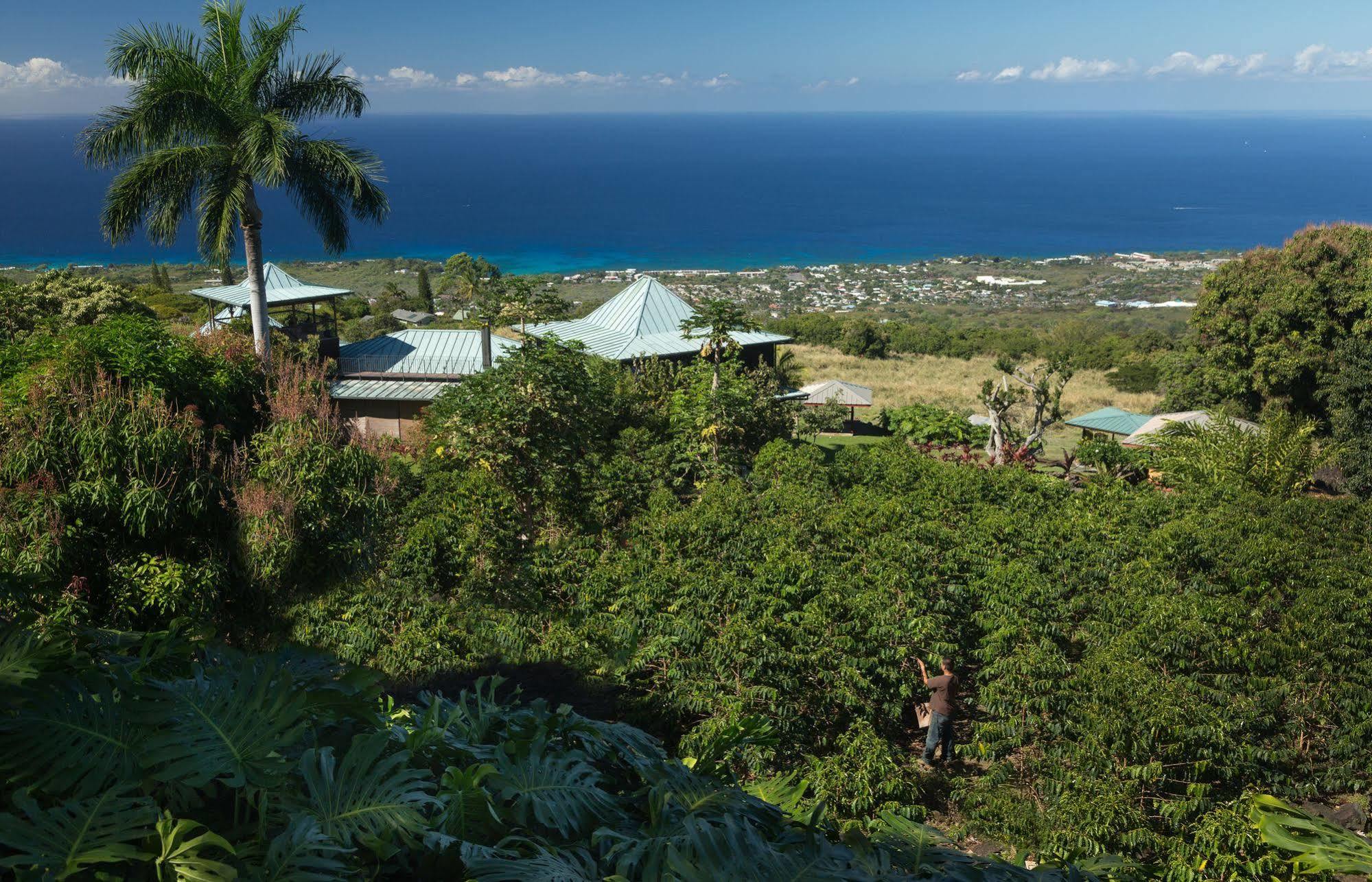Holualoa Inn Eksteriør bilde